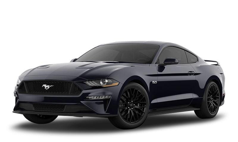 섀도우 익스테리어